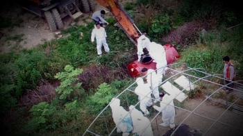 “건강한 닭을 왜?“ 부산 기장선 '예방적 살처분' 거부