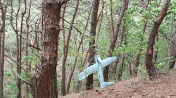 북한 무인기 성능 크게 '진화'…사드배치 성주지역까지 정탐