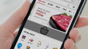 '온라인 장보기' 세계 1위 한국…업체간 경쟁도 치열