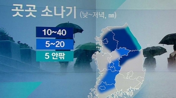 [날씨] 저녁까지 곳곳 소나기…한낮 30도 안팎