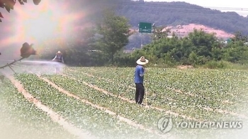 폭염주의보 속 야산서 풀 베던 50대 숨져…열사병 추정