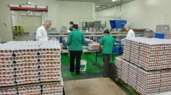 식약처, 계란 안전관리 강화…농약기준 어긴 농장주 제재