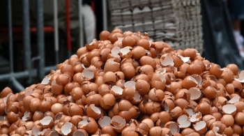 유럽발 '살충제 달걀' 사태 일파만파…한국·홍콩까지 19개국