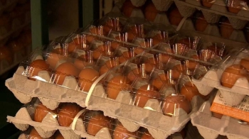 중간 유통상에서도 '살충제 달걀'…소비자 불안감 확산