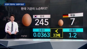 [팩트체크] 한국-유럽 '살충제 달걀' 엇갈린 정보들…따져보니