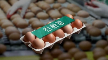 '친환경' 살충제 달걀 무더기 검출…소비자 분노 확산