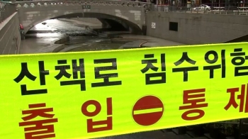 서울·인천·경기북부 등 '호우주의보'…청계천 출입 통제