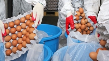 '살충제 계란' 35만개 빵·훈제계란으로 가공 유통