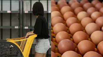 '살충제 달걀' 일주일…정부 조사에도 소비자 불신 여전