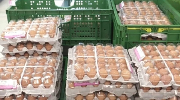 [아침& 지금] 달걀 산지값 폭락…이마트 판매가 인하