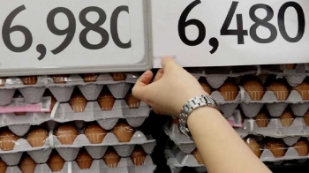대형마트 3사, 일제히 계란값 인하…소비자는 '머뭇머뭇'