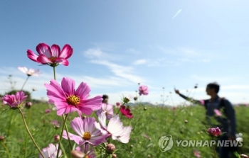 태풍 지나고 화창한 휴일…나들이·벌초객으로 도로 북새통