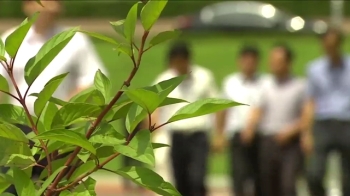 퇴직공무원 뽑으려 자본금 축소한 기업…“취업 무효“ 판결