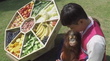 햇과일·고기 송편···아기 동물들의 첫 번째 '추석 맞이'