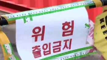 외래 붉은 불개미 차단…내륙 컨테이너 기지도 예찰 