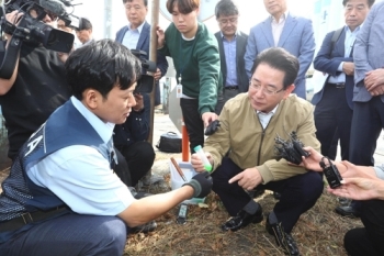 외래 붉은불개미 대응 총력전…34개 항만에 덫 설치