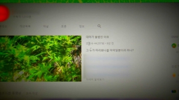 유튜브서 '대마 추수법'까지…온라인 마약 범죄 기승