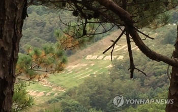 “누가 쏜 유탄인지 알고 싶지 않다…내 아들 같은 사고 없어야“