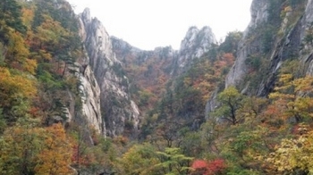 '전국이 울긋불긋' 유명 산·관광지 나들이객들로 인산인해