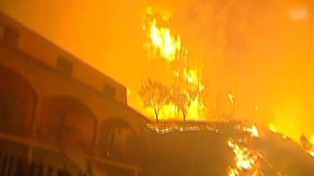 [해외 이모저모] 포르투갈·스페인 대규모 산불…30여명 숨져