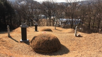 “최순실씨·대기업 일가, 가족묘지 불법 조성 후 버티기 일관“