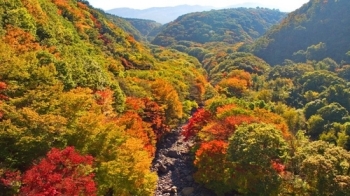 한라산 울긋불긋 단풍 절정…첫서리도 내려