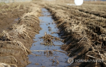 기상청, 지진에 따른 '지반 액상화' 조사 첫 착수