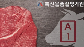 [단독] 경영평가 잘 받으려 '한우 등급' 조작…감사 착수