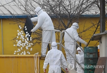 정읍 오리농장 고병원성 AI 확진…천안 철새분변도 고병원성