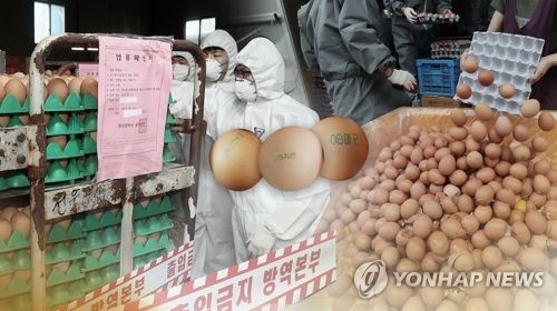 제2의 살충제 계란사태 방지생산 선진화유해물질 차단 jtbc 뉴스