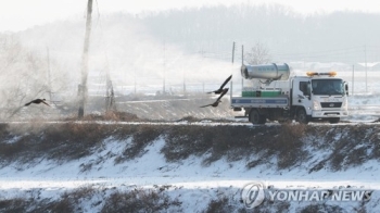 전남 고흥 육용오리 농장서 H5형 AI 항원 검출