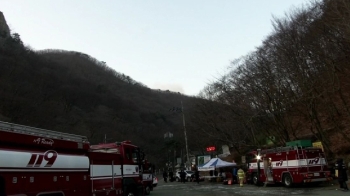 부산 삼각산 큰 불길 잡혔다…실화·방화 가능성 동시조사