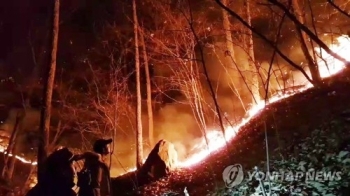 한밤 헬기·소방호스 무용지물…정상 산불이라 피해 컸다