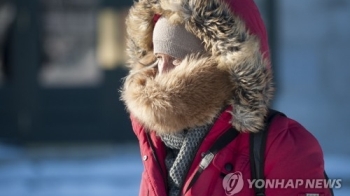 북미 덮친 역대급 한파에 펭귄들도 대피…항공기 수백편 결항