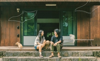 JTBC, 상반기 막강 라인업…유재석·이효리·김남주·손예진이 온다