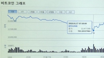 열흘 새 '반토막' 난 가상통화…시가총액 300조 증발