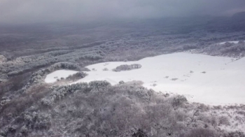 한라산에 쌓인 30㎝ 눈…한겨울 눈꽃 절정 맞은 제주도