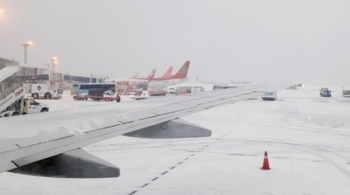 '눈보라'에 제주공항 활주로 한때 폐쇄…64편 결항·19편 회항