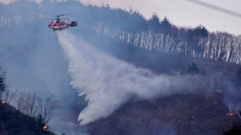 사흘만에 잡힌 삼척 산불…'축구장 164배' 규모 잿더미