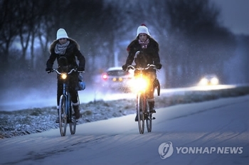 브뤼셀도 대기오염과 전쟁…오염 수치 높으면 대중교통 무료