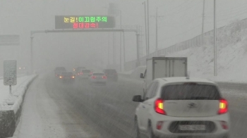 '봄비'라기엔 강풍에 호우…항공기 결항·사고 피해 속출