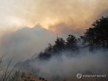 고성 산불 바닷가 방향 확산…주민 445명 대피