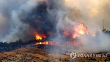 짝수·선거해 마다 대형산불…동해안 산불 '징크스'