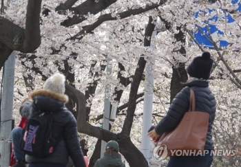 “벚꽃 보니 가슴이 뻥 뚫려요“…여의도 벚꽃축제 인파 북적