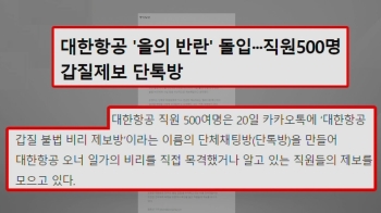 '조양호 일가 퇴진 촉구' 촛불집회 준비…'을의 반란' 시작되나