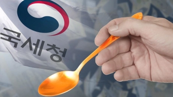 '금수저 증여 탈세' 268명 조사…절반 이상이 미성년자