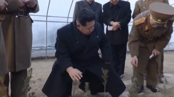 남북 첫 공동사업 '북 산림녹화'…“이설주 여사 관심사안“