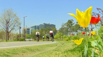 [날씨] 맑고 따뜻한 휴일…밤부터 미세먼지 농도 높아져