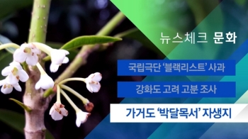 [뉴스체크｜문화] 가거도 '박달목서' 자생지