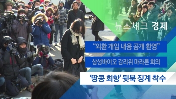 [뉴스체크｜경제] '땅콩 회항' 뒷북 징계 착수